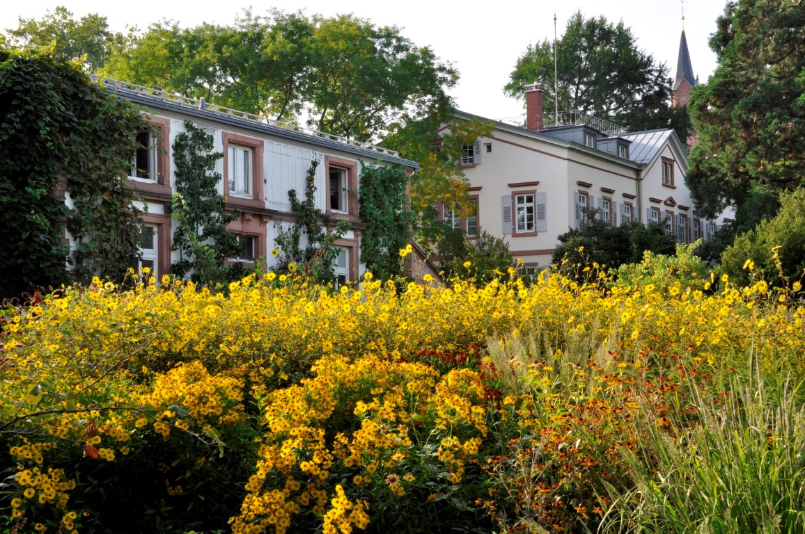 Staudengärtnermeister / Techniker / Bachelor of Science oder vergleichbar