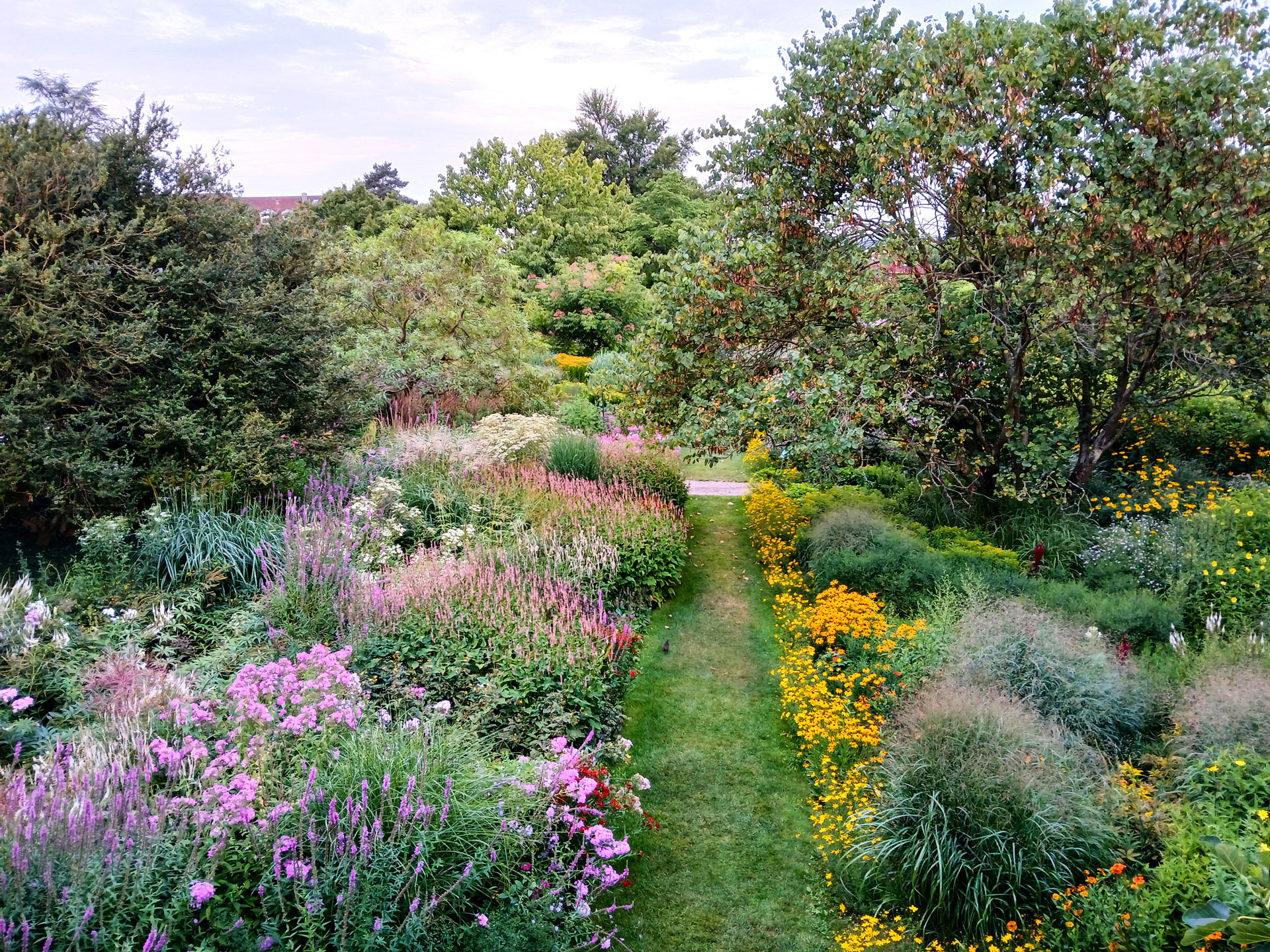 Sortimentsgärtnerei