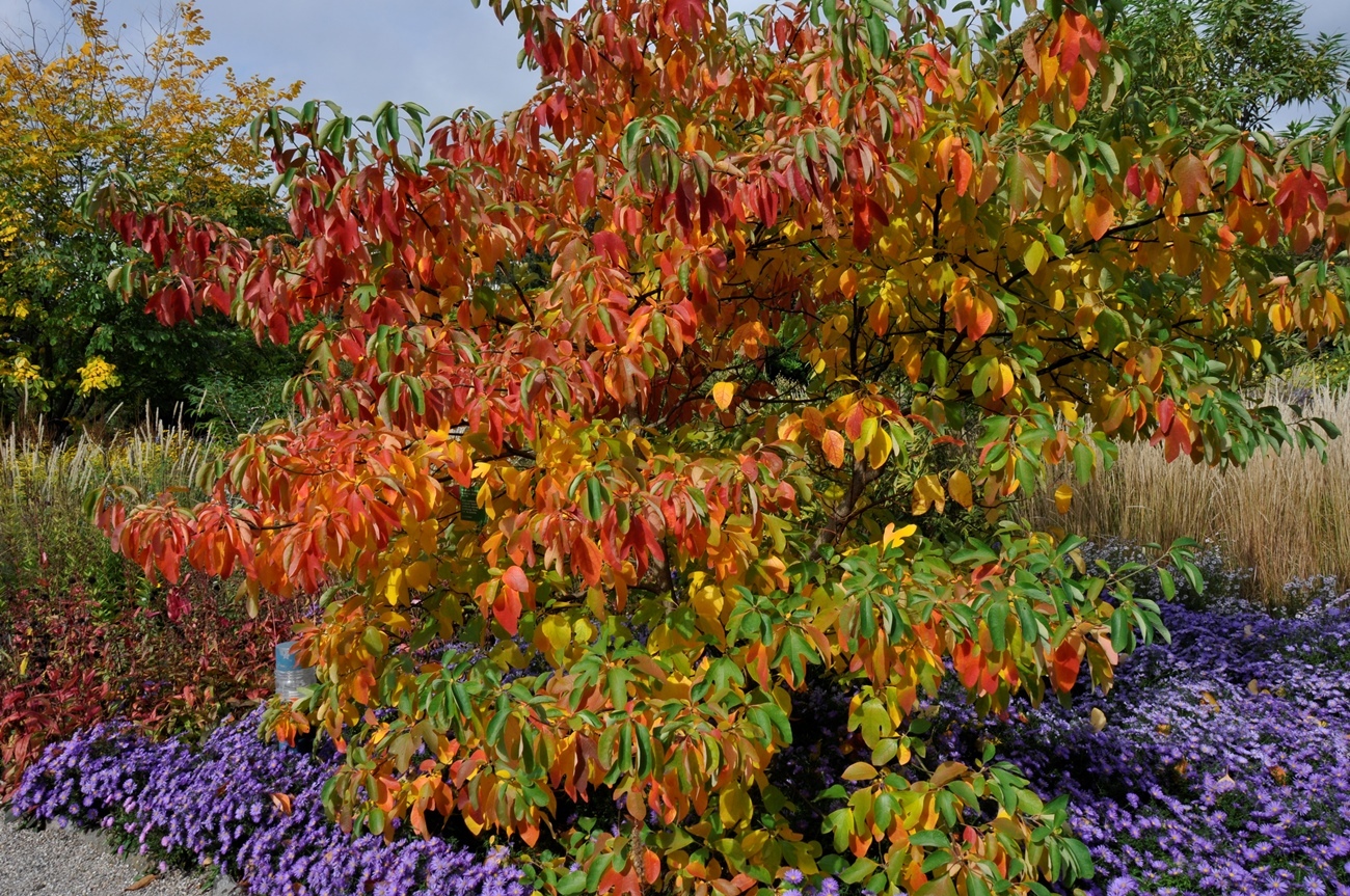 Allgemeine Infos & Gartenregeln