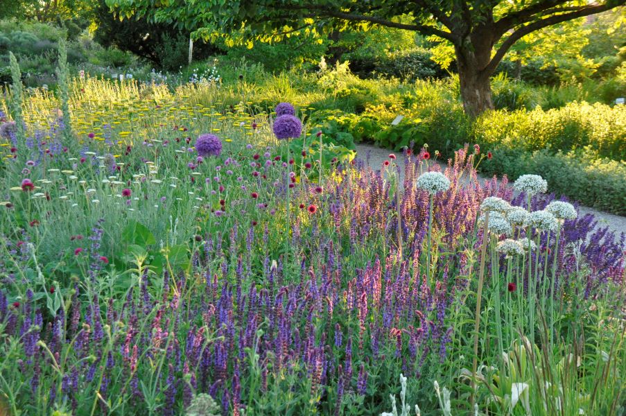 Pflanzungen ohne Wässern!