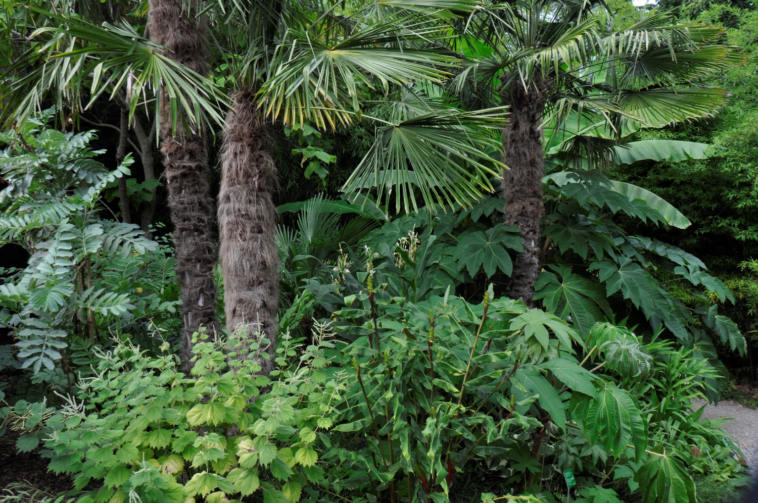 Verborgene Tropenschätze