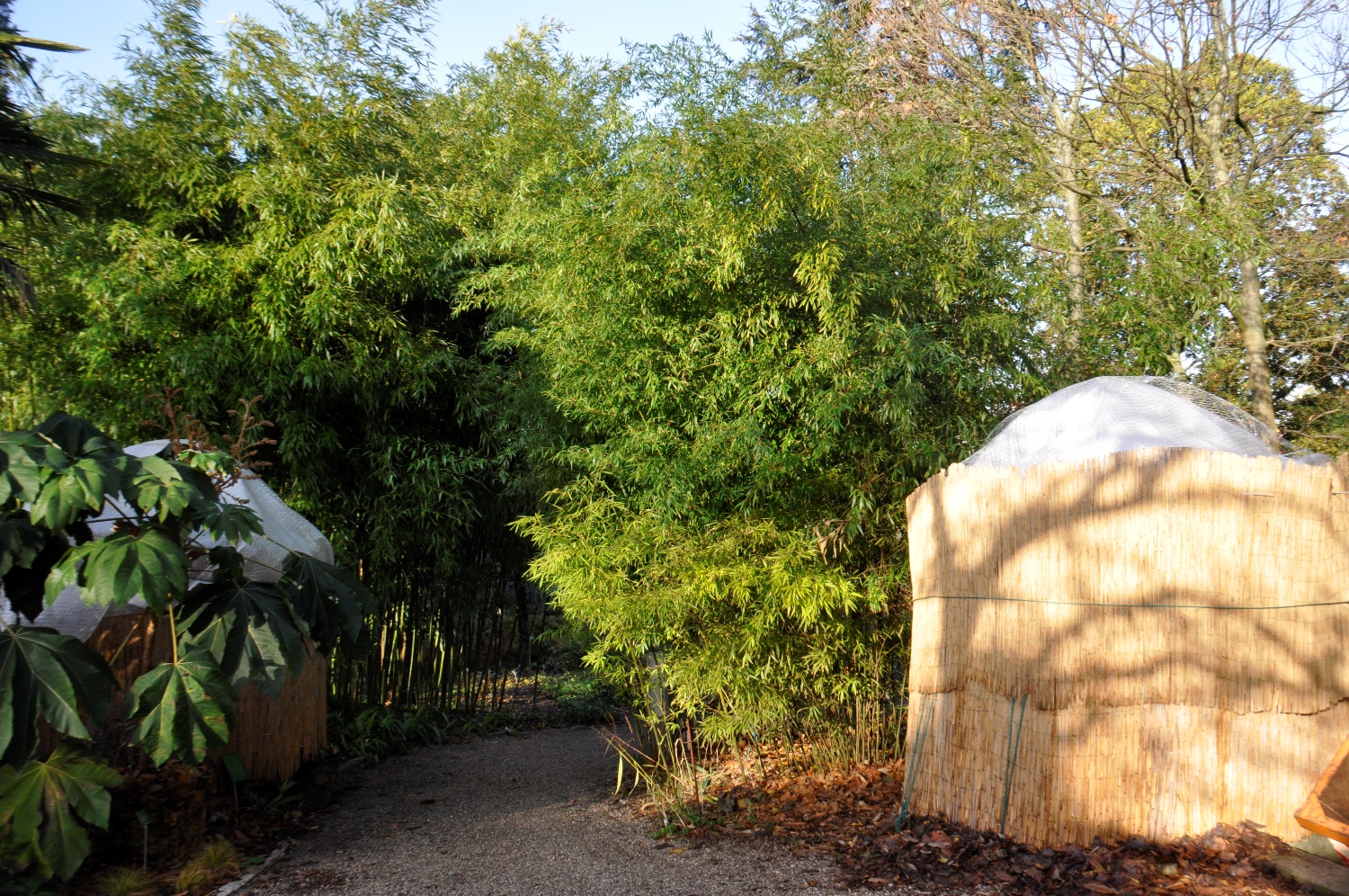 Der Garten In Vegetationspause Schau Und Sichtungsgarten